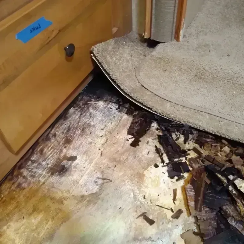 Best Wood Floor Water Damage Service in Red Lake, MN